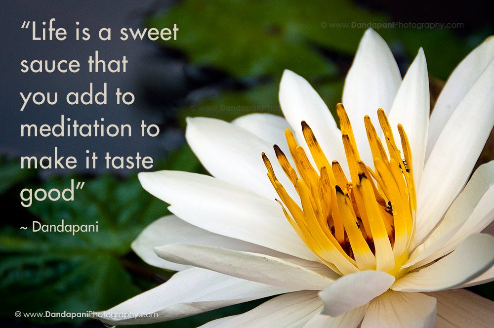 Life is a sweet sauce that you add to meditation to make it taste good