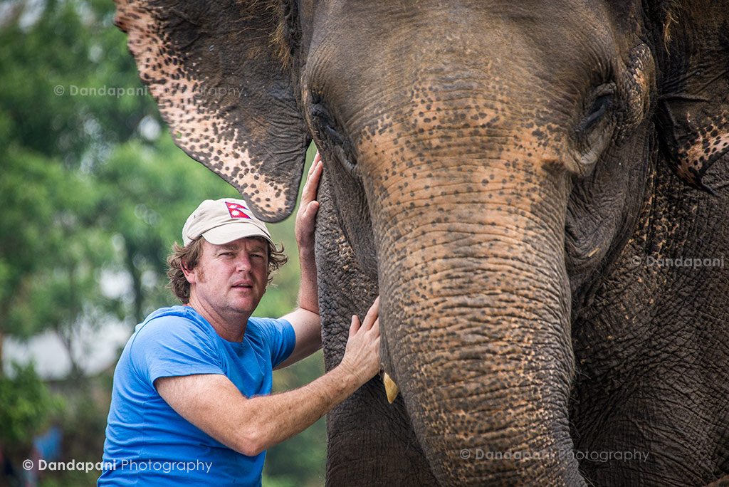 chitwan-jungle-elephants