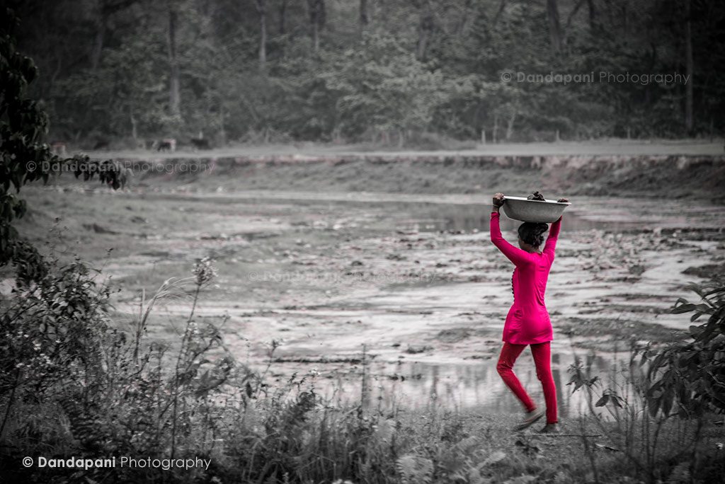 Playing around with Adobe Lightroom….