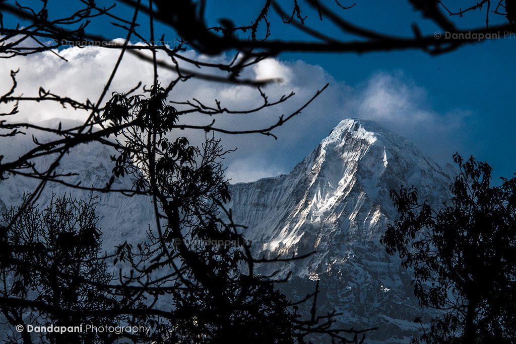 It was a sight for sore legs and weary trekkers. The mountains were simply gorgeous in the evening light.