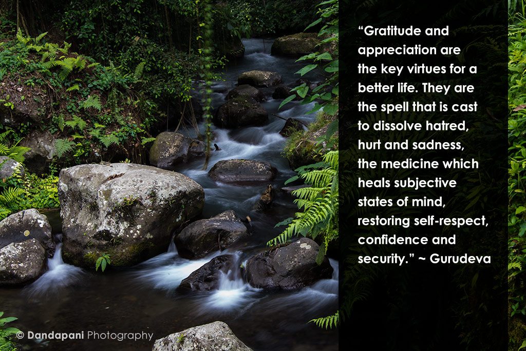 gratitude-thanksgiving-dandapani