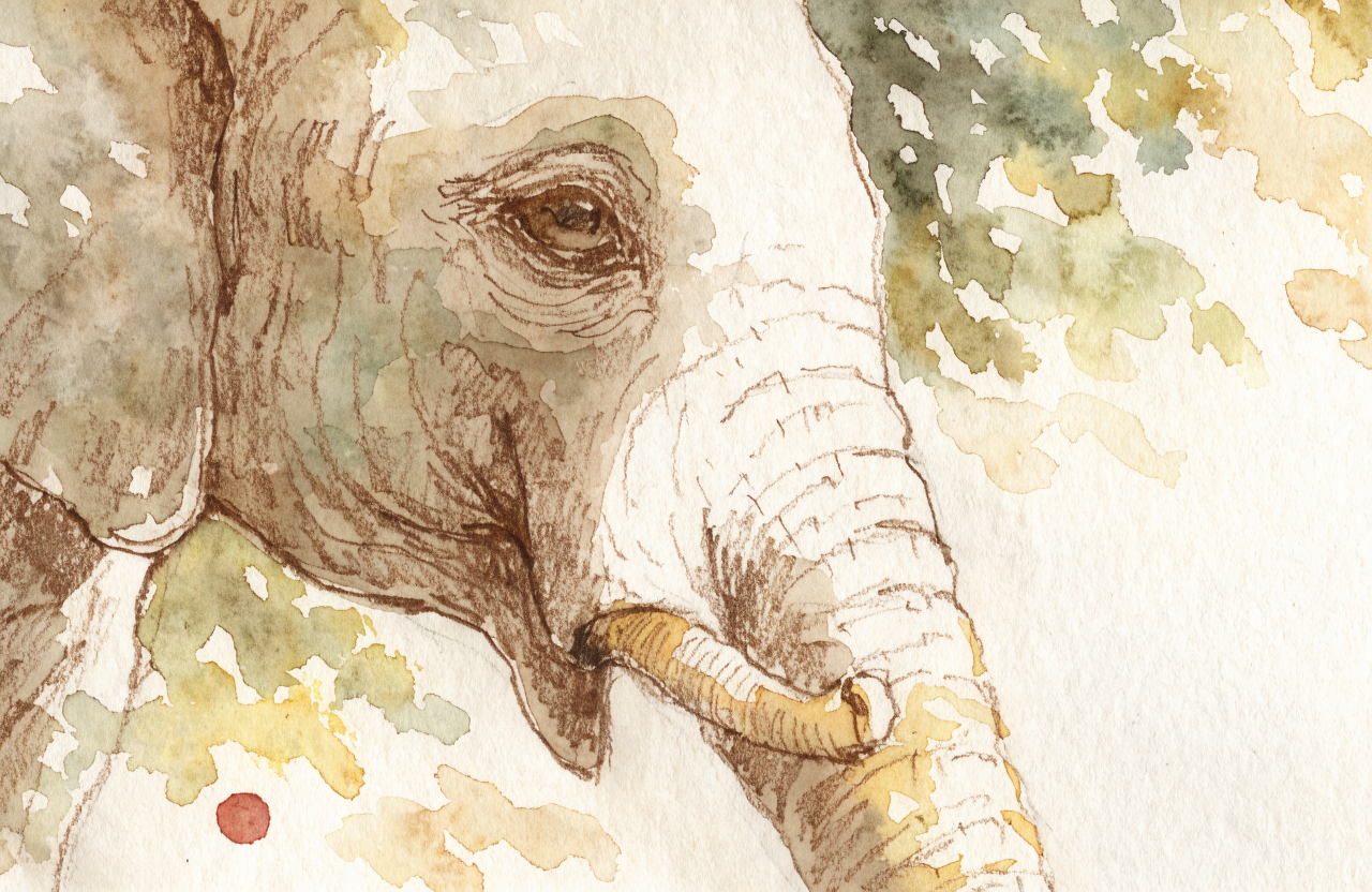 Elephants! Elephants! Elephants!
