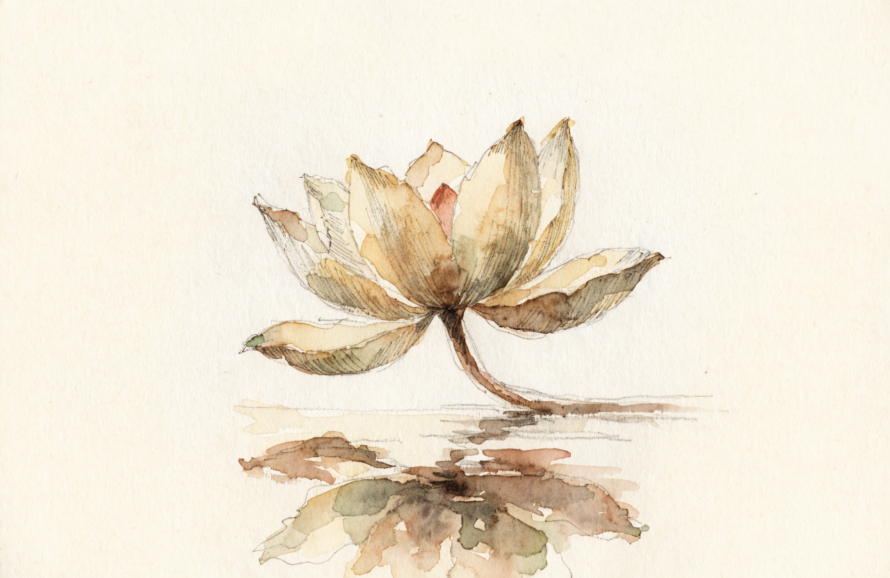 What is the purpose of meditation?