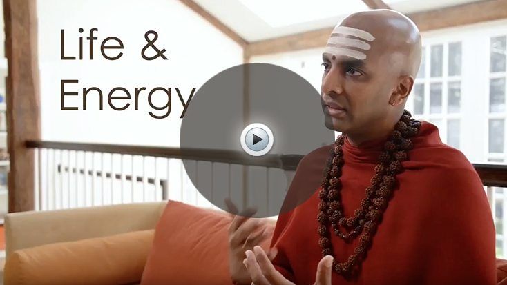 Life and Energy