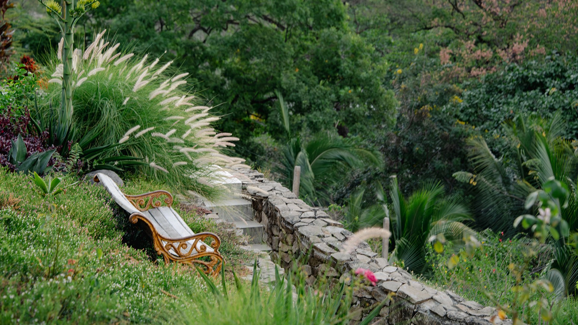 A carved bench beside a dry-stone wall in a garden Dandapani designed