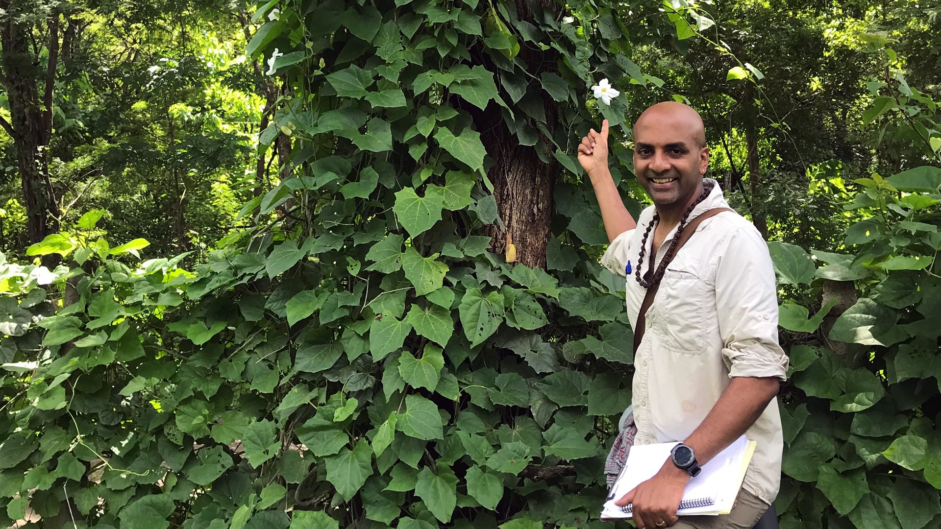 Dandapani in the garden, notebook in hand, pointing to a flowering vine
