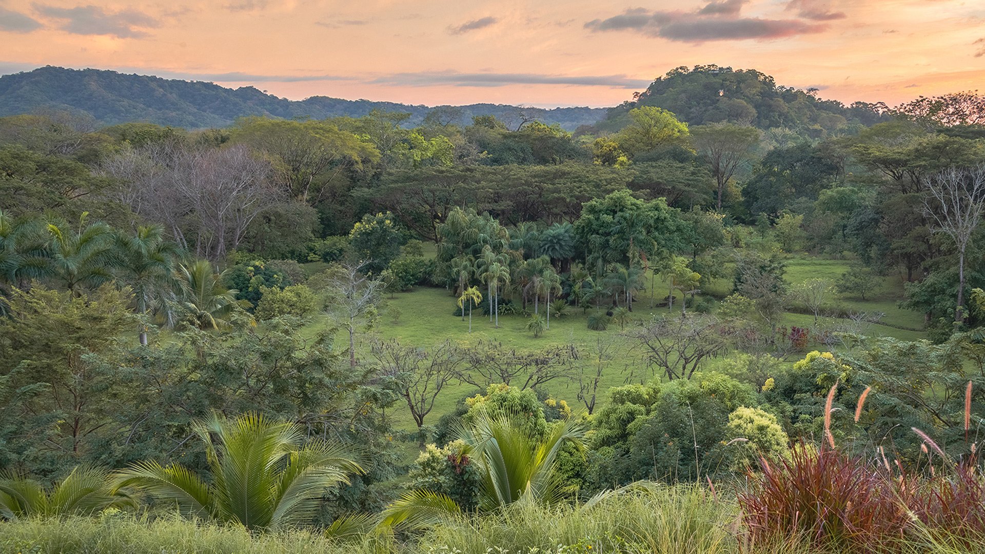 The garden sanctuary in 2026