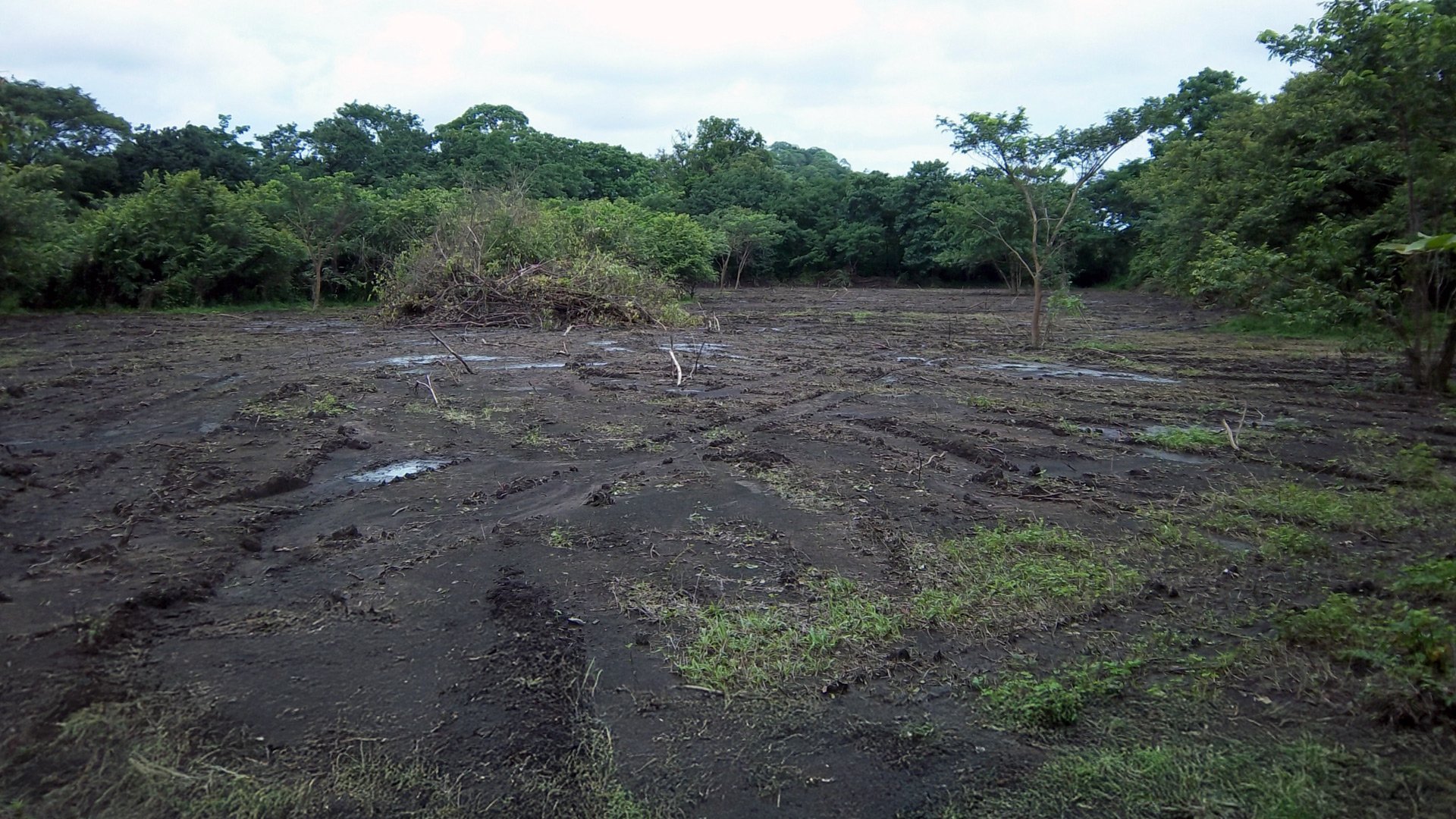 The same land in 2013, bare and cleared