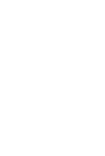 Portfolio, Penguin
