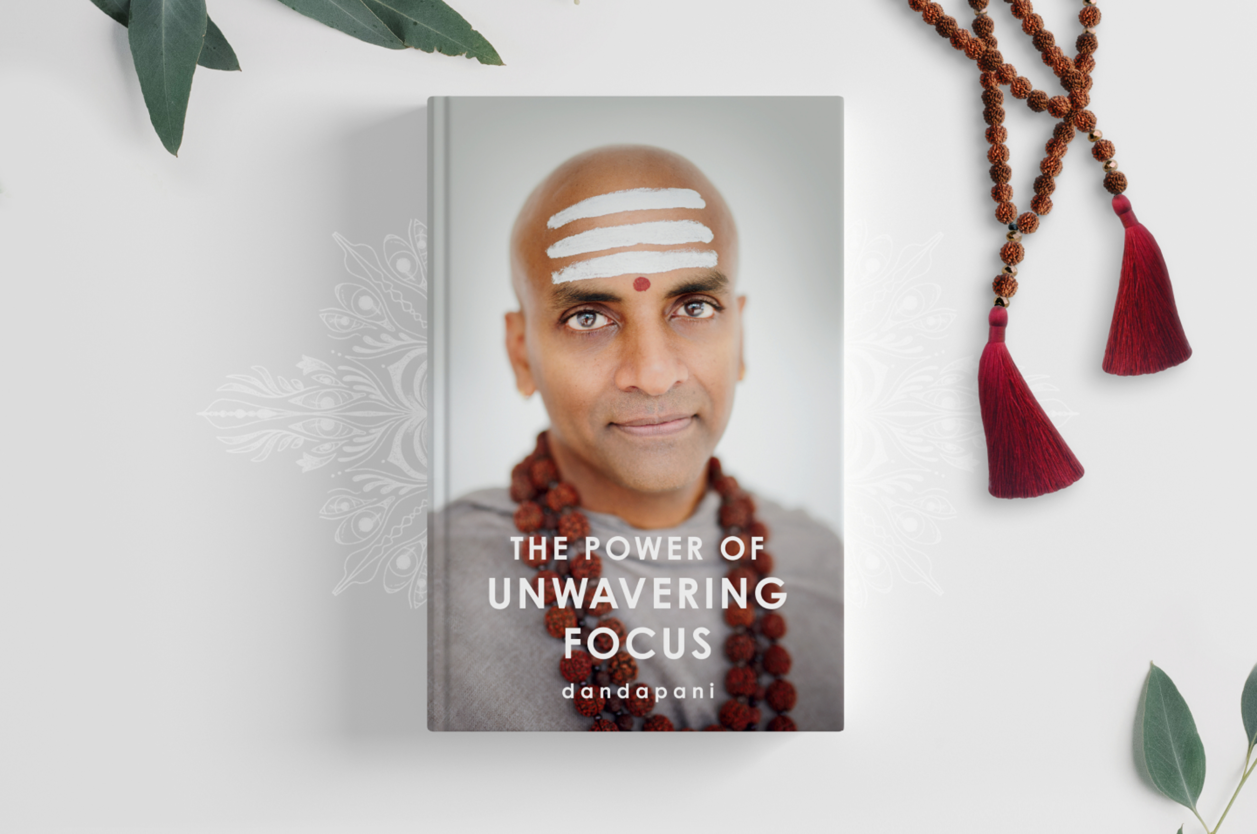 The Power of Unwavering Focus