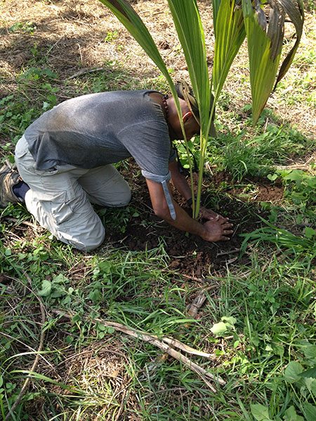 costa-rica-tree-planting-nosara