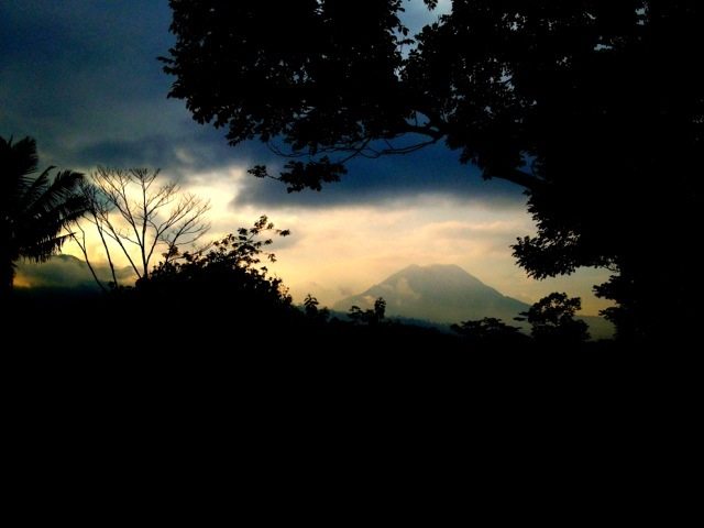 20120214-084359.jpg
