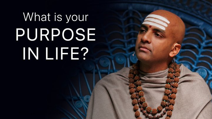What is your Purpose in Life?