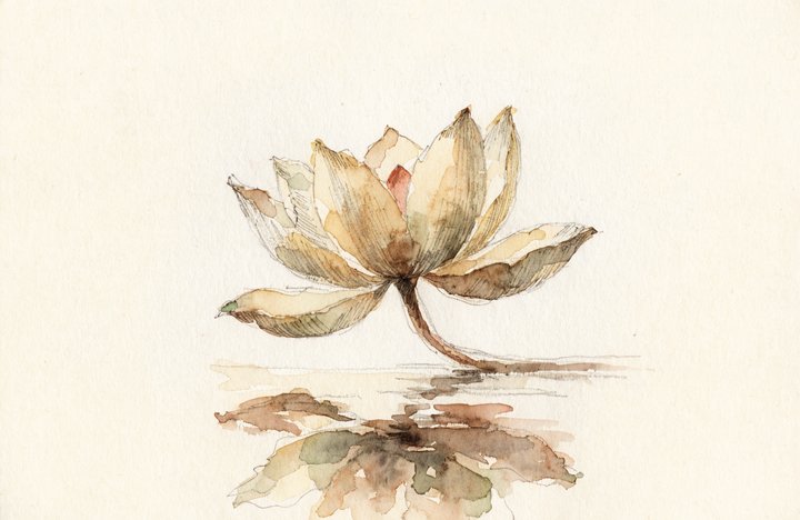 What is the purpose of meditation?
