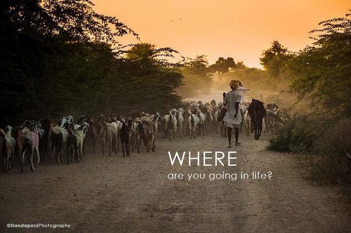 Where are you going in life?