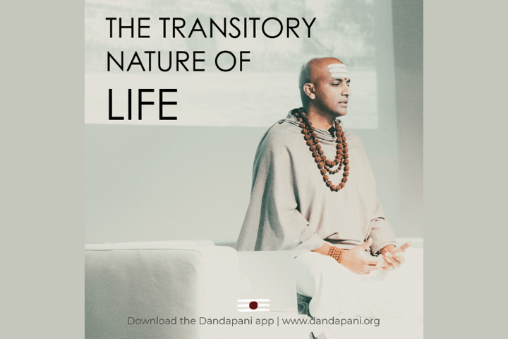 The Transitory Nature of Life