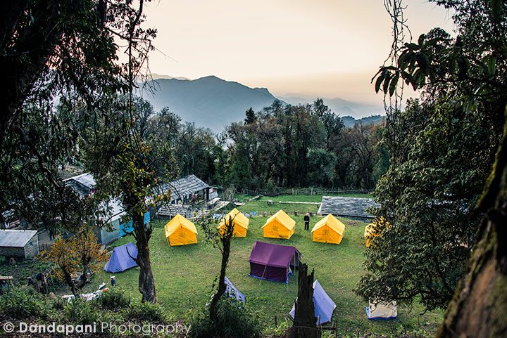 Forest Camp, 2,600m, is the name of the grounds where we stayed the night. 