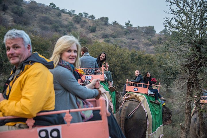 The trail of elephants in the hills.