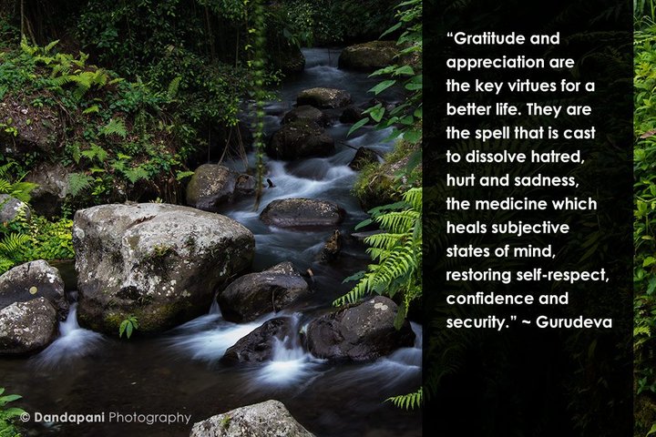 Thoughts on Gratitude and Appreciation
