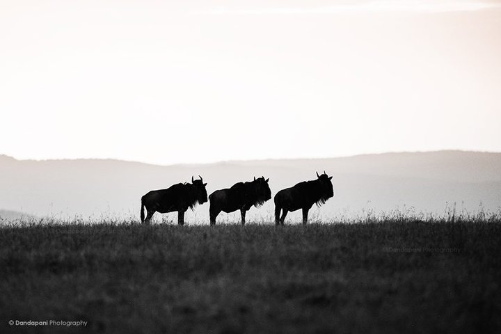 Kenya - The Craddle of Life, Part 1
