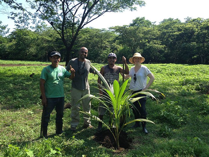 The first tree is in the ground. A vision is manifesting.