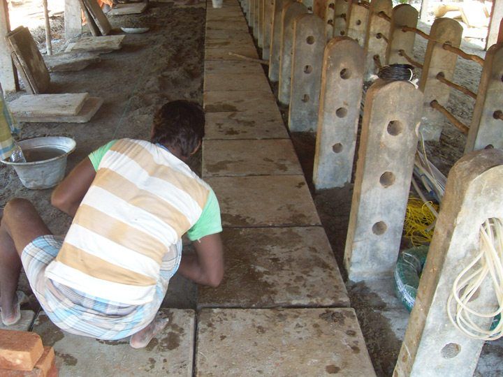 south-india-sacred-cows-village-flooring
