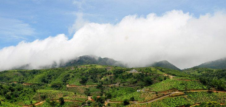 Vedic Odyssey takes a group on a meditation retreat to Kerala, South India
