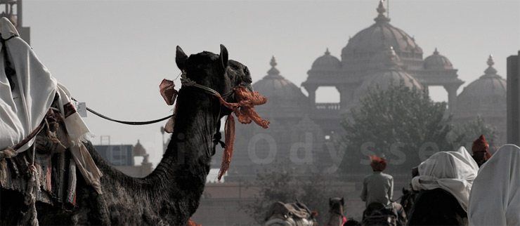 akshardham-delhi-1