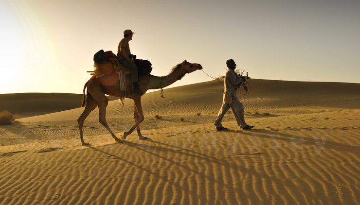 The great Thar Desert