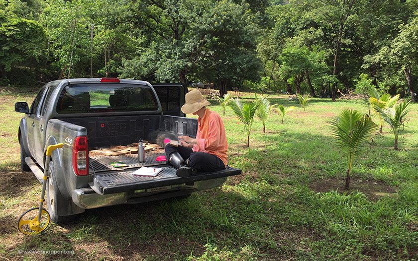 Keeping track of all the trees we are putting in the ground is one of the biggest tasks. 