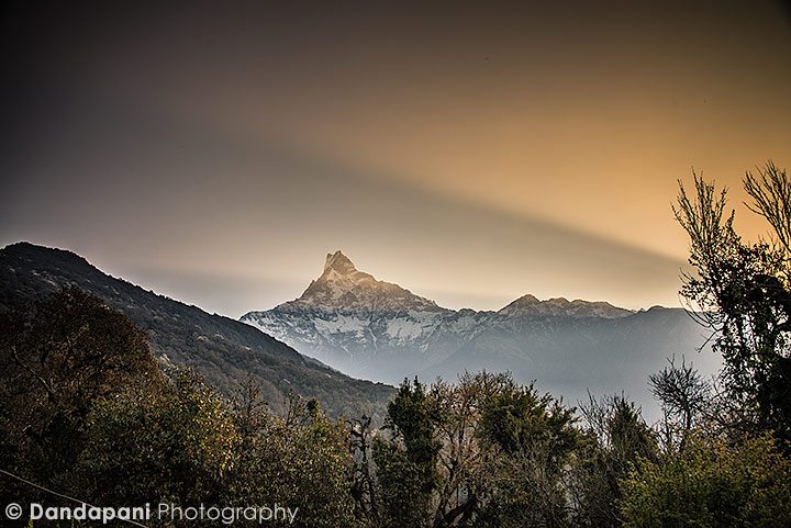 Sunrise over the Annapurna range viewed from Rest Camp. Fishtail lights up as the sun rises. 