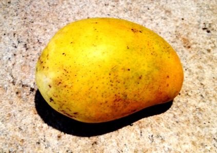 An Indian Mango Odyssey (Part 1)