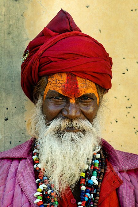 portrait of a indian sadhu monk