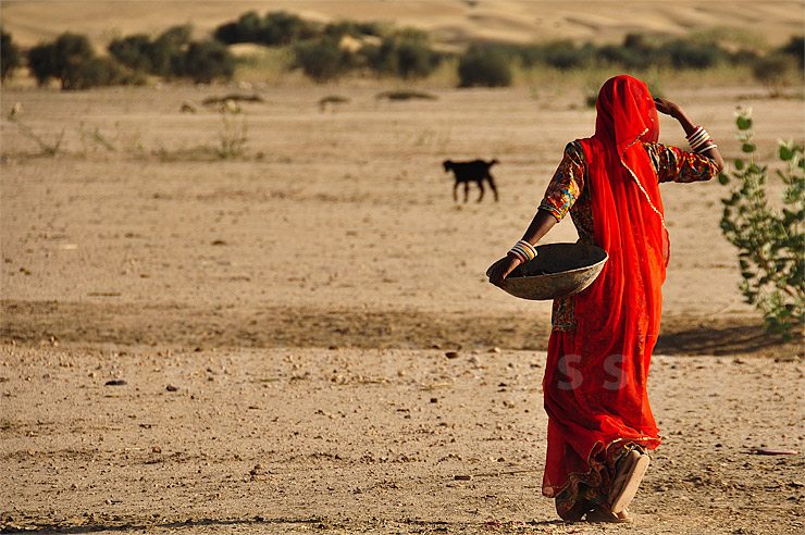 Rajasthan lady in desert
