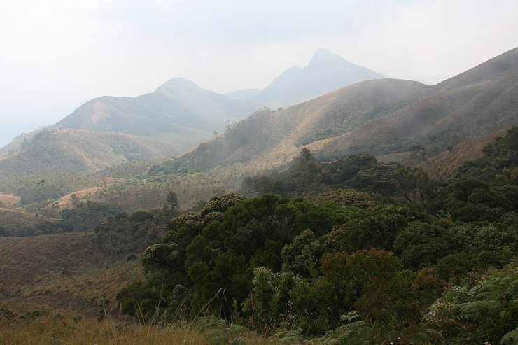 Hiking in the Western Ghats