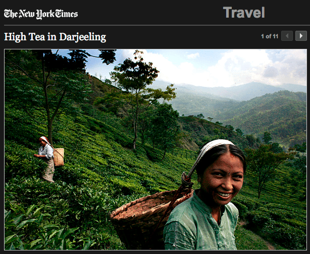 New York Times photographic coverage of the tea industry in Darjeeling, North India (Himalayas)