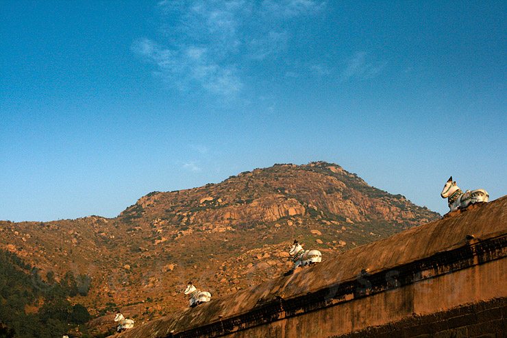 Arunachala Hill in Tiruvannamalai