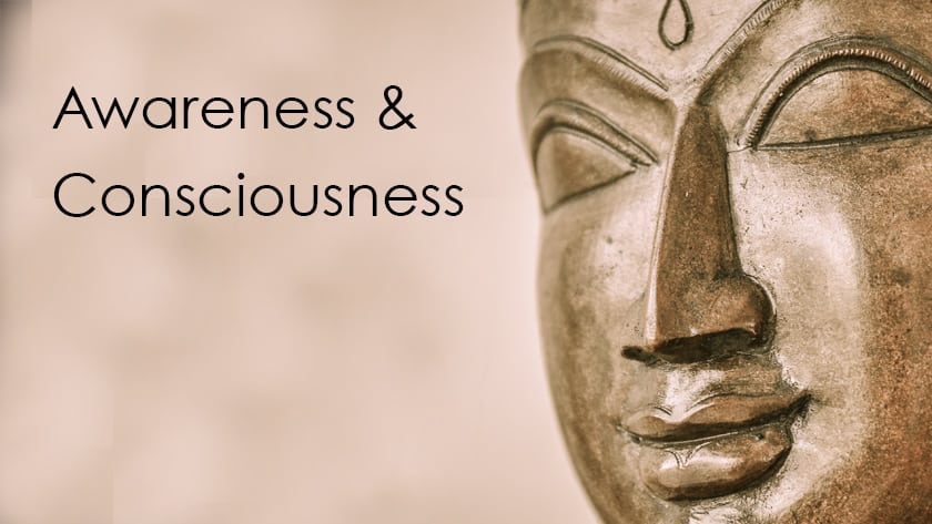 Awareness vs. Consciousness