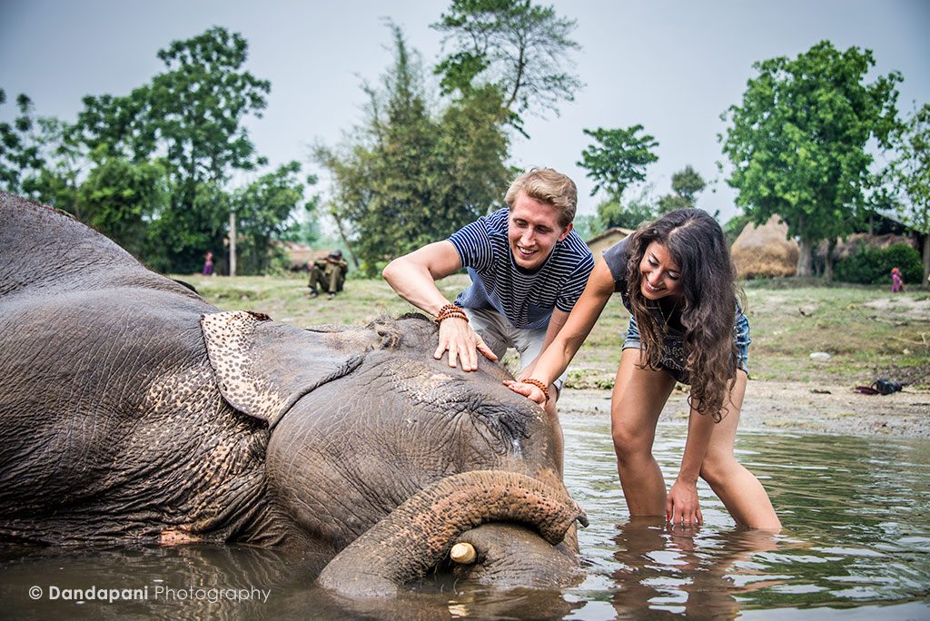 bathing-elephants-jungles-chitwan-nepal
