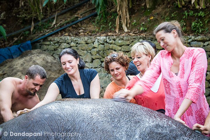 Everyone enjoyed scrubbing this elephant but I think the elephant enjoyed it even more…..