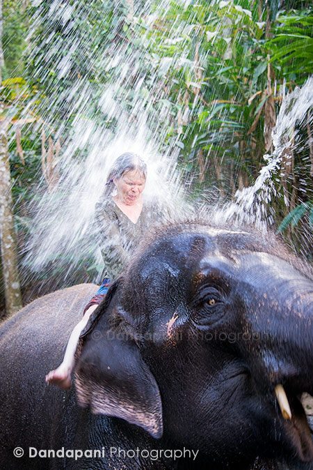 bathing-elephants-periyar-india-5