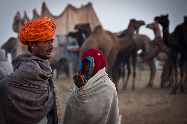 Pushkar Camel Fair, Rajasthan, India.