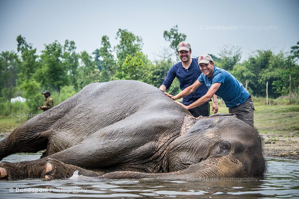 chitwan-jungle-elephants-bathing