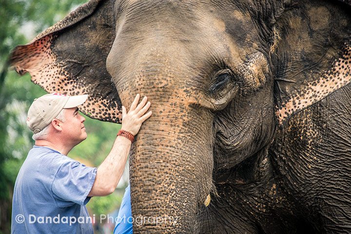 chitwan-national-park-elephants