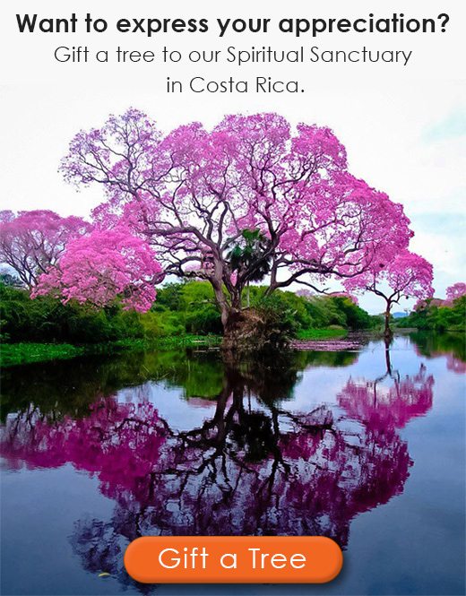 Costa Rica Retreat Center Tree Gifting program
