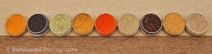 The World of Indian Spices