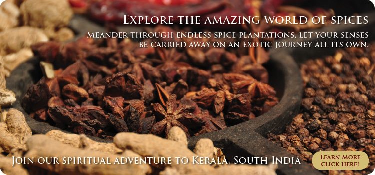 Join our spiritual adventure in Kerala Apr/May 2011