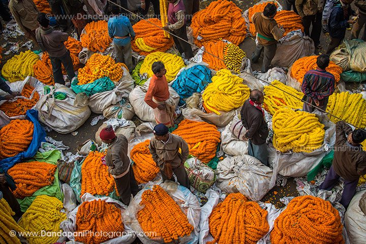 kolkata-flower-market-mallick-ghat-howrah-india