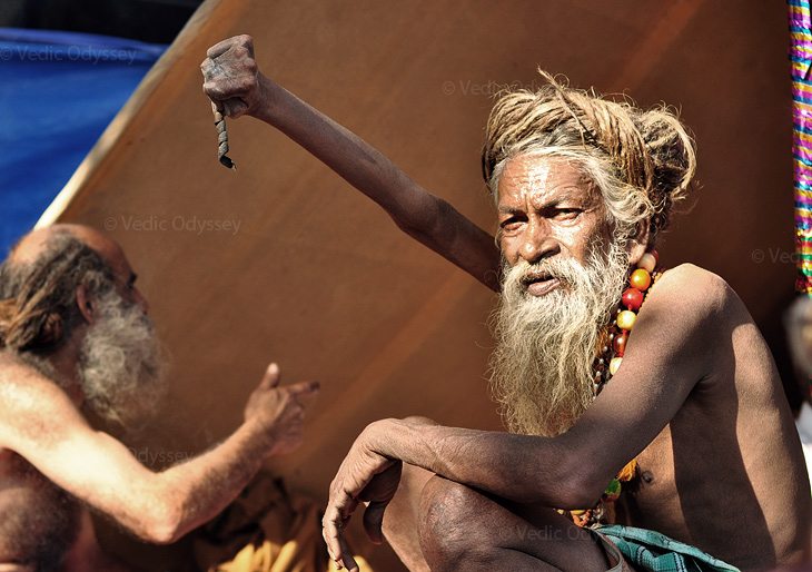 A sadhu, Hindu monk, has held his hand up in the air for 28 years as a form of penance. Here's he is gathered to celebrate in the grand Kumbha Mela festival. 