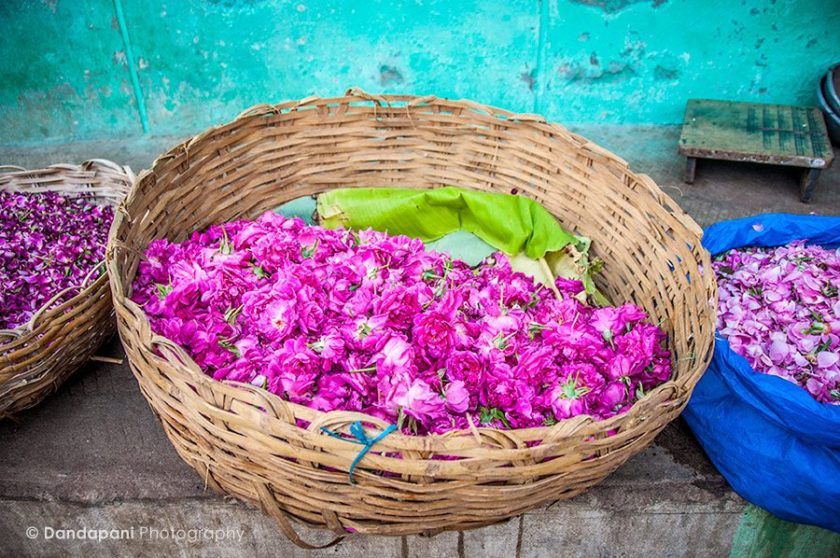 Beauty in Bloom: A walk through the Madurai Flower Market